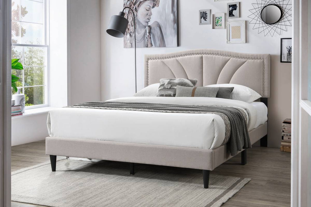 F9655Q Queen Bed