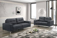 Lsgfur 2-Pcs Sofa Set in Black image